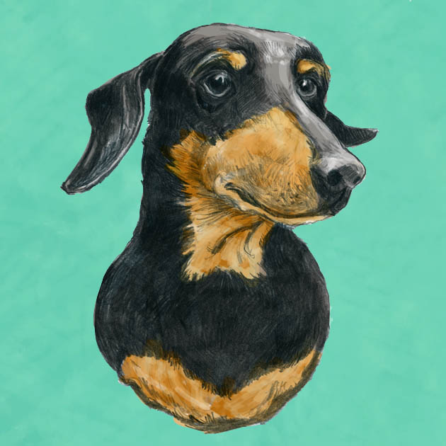 Do dogs sleep with their eyes open? - Snoozer Pet Products