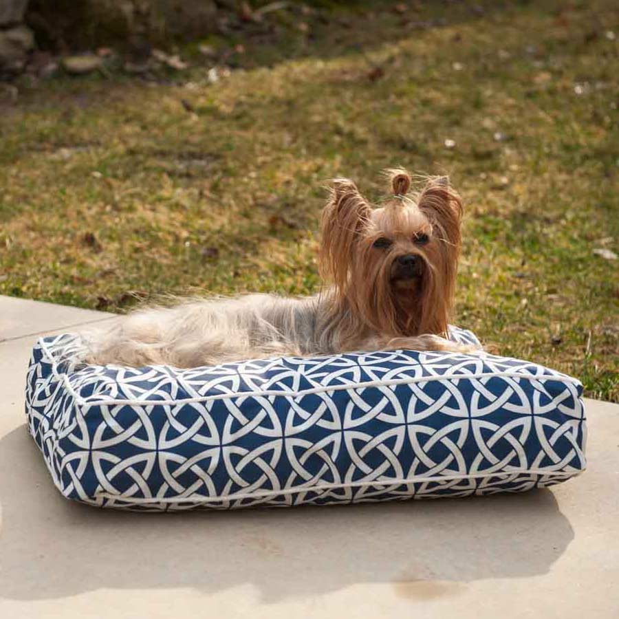 outdoor patio dog bed