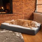 Super Orthopedic Lounge Dog Bed w/ Cream Sherpa | Snoozer