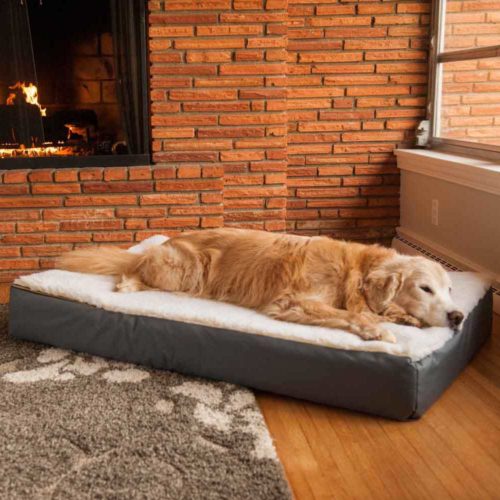 Rectangle Super Orthopedic Dog Bed with Cream Cover