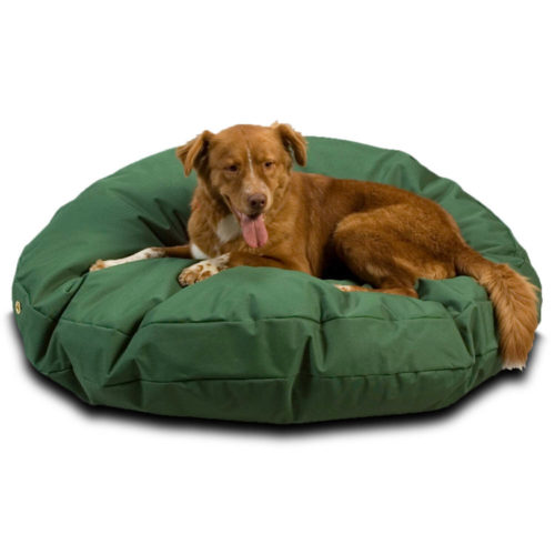 green-round-waterproof-bed-with-dog5-500x500