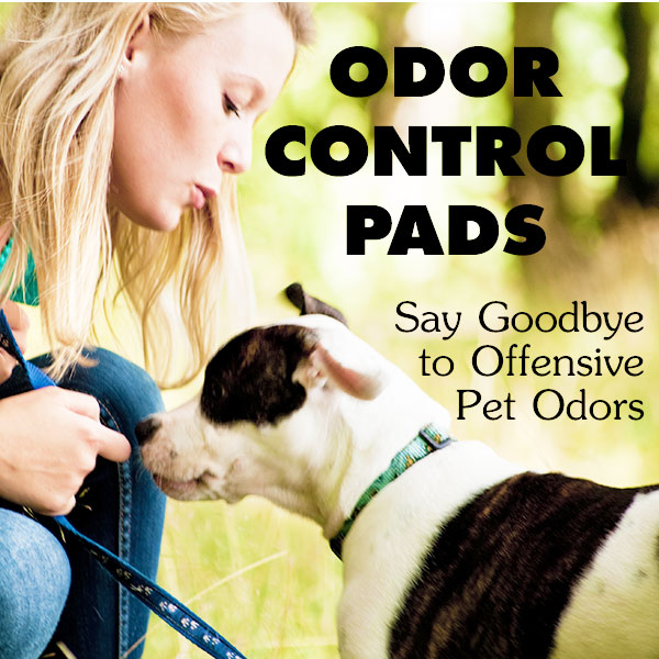 Odor Control Solutions You Can Try Yourself 2
