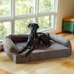 Snoozer Pet Products - Dog Beds & Sofas - Luxury Dog Sofa w Memory Foam