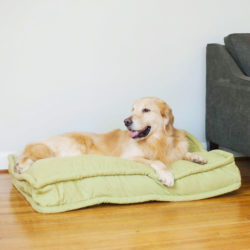 Snoozer Luxury Pillow Top Dog Bed