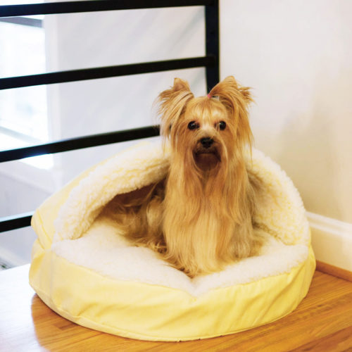 Snoozer-Orthopedic-Luxury-Cozy-Cave-Dog-Bed-with-Microsuede
