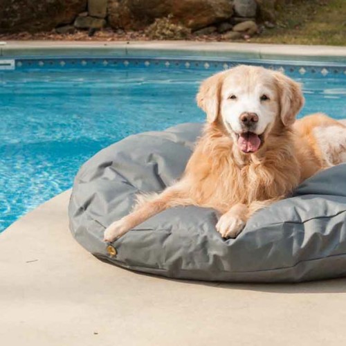 Snoozer Dog Beds and Sofas Couches Outdoor Beds Collection