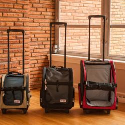 Dog Carriers & Totes