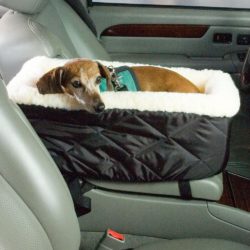 Middle seat dog car seat Clearance