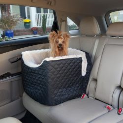 Snoozer Pet Products-Dog Car Seats-Lookout 1
