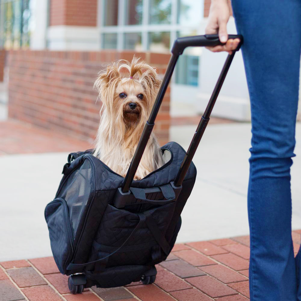 Roll Around Travel Dog Carrier Backpack 