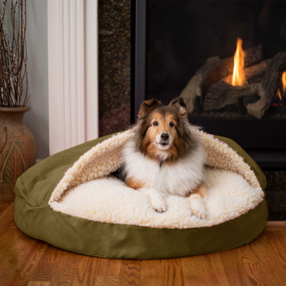 https://snoozerpetproducts.com/wp-content/uploads/2014/05/orthopedic-cozy-cave-lifestyle2-olive.jpg