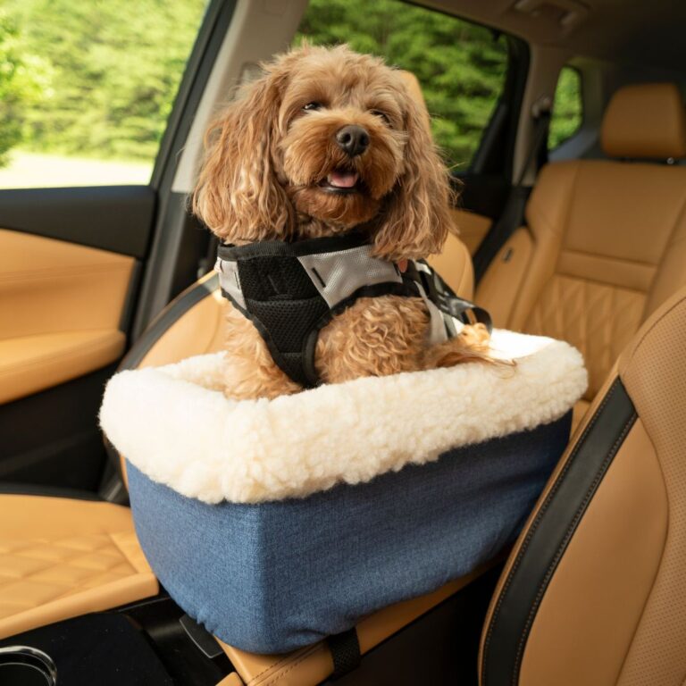 Snoozer Console Dog Car Seat | Removable Cover + Secure Straps