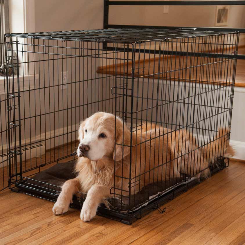 Snoozer Outlast Crate Pad | Dog Pads 