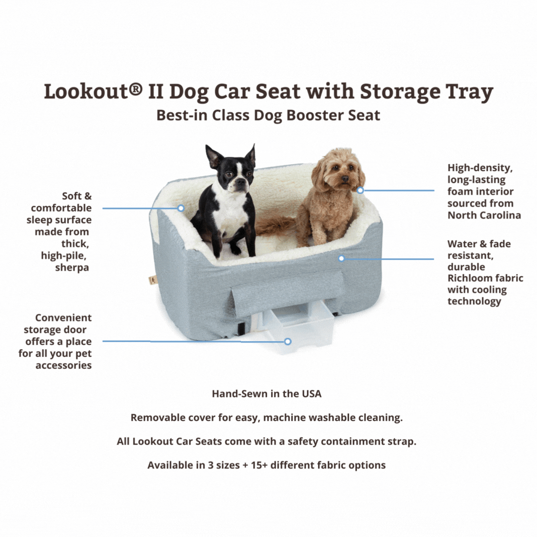 Keep Your Pet Safe And Comfortable On The Road With This Travel Booster Seat!  - Temu United Arab Emirates