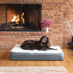 snoozer-pet-products-super-orthopedic-lounge-dog-bed-cream-sherpa-gun-metal