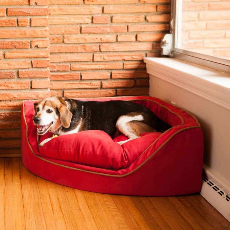 Snoozer Luxury Overstuffed Corner Dog Bed 28+ Colors