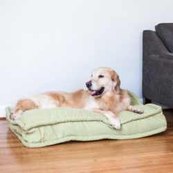 Snoozer Pillow Top Dog Bed 