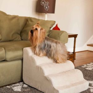 Scalloped Dog Ramp | Pet Stairs | 3 Sizes & 8 Colors | Snoozer