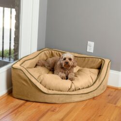 camel-olive : large