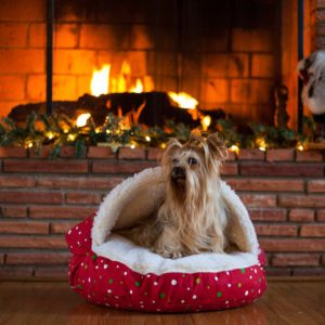 Holiday Cozy Cave | Snoozer Dog Beds