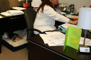 Snoozer Family at Work!