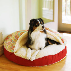 Snoozer-Cozy-Cave-Orthopedic-Dog-Bed---The-Wag-Collection