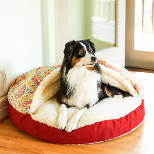 orthopedic-cozy-cave-dog-bed-snoozer-pet-products-wag-collection