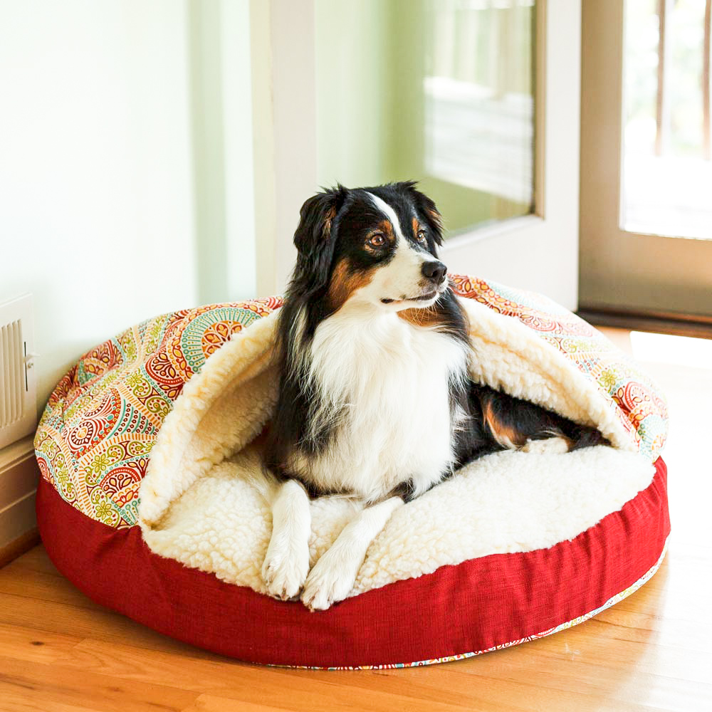 cozy cave dog bed