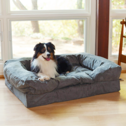Snoozer-Pet-Products-Forgiveness-Dog-Bed