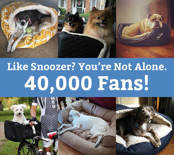 Snoozer Facebook Fan Page Announcement