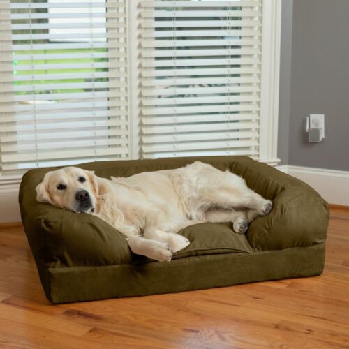 snoozer-pet-products-forgiveness-dog-sofa-lifestyle-olive