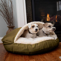 olive : xl-large