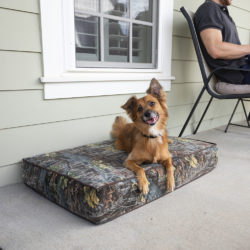 Snoozer Outlast Dog Bed - 5 Inch Thick - Untamed