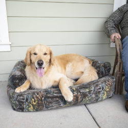 Snoozer Overstuffed Luxury Dog Sofa Untamed Collection