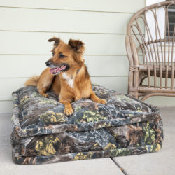 Snoozer Pillow Top Dog Bed - Untamed Collection
