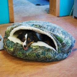 Snoozer-Untamed-Luxury-Cozy-Cave-Dog-Bed