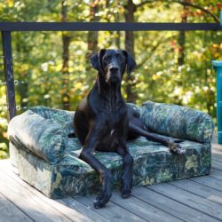 Untamed-Luxury-Sofa-Memory-Foam-3