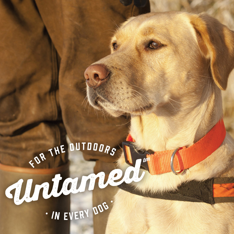 New Untamed™ Camouflage Collection from Snoozer