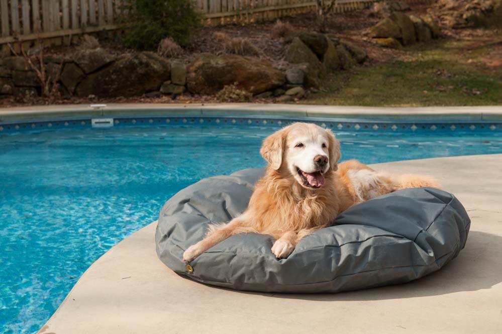 Waterproof Dog Beds