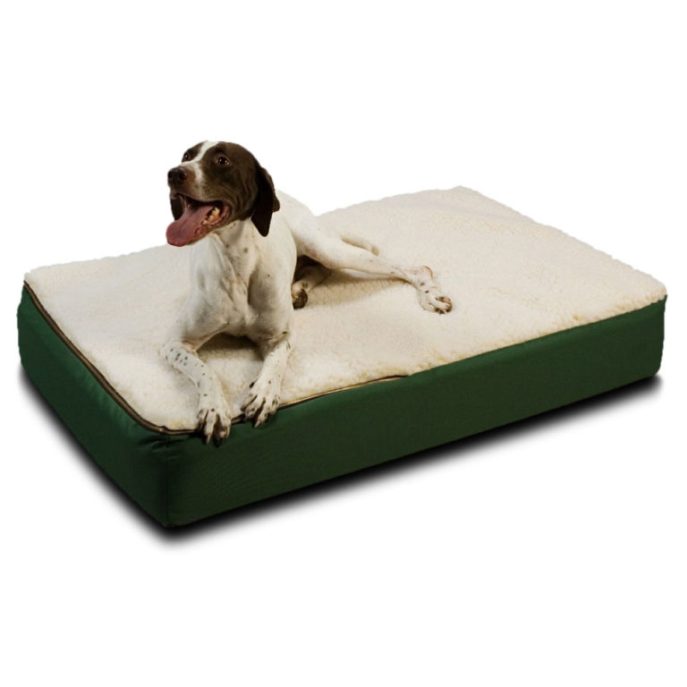 Super Orthopedic Lounge Dog Bed w/ Cream Sherpa Snoozer