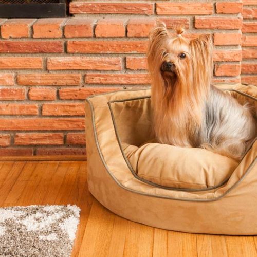 Snoozer Dog Beds and Sofas Couches Outdoor Beds Collection