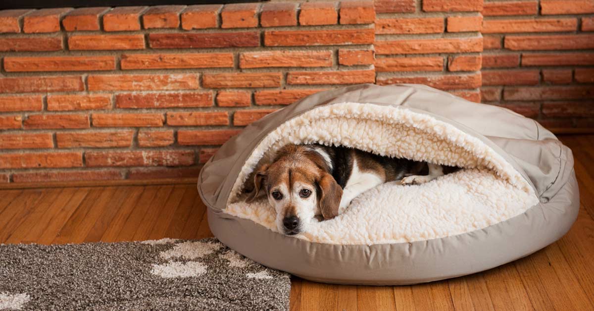 PolyCotton Dog Beds