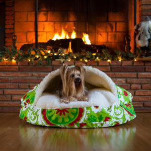 Suzani Holiday Dog Bed | Snoozer