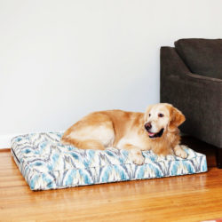Luxury Orthopedic Pillowtop Bed - The Show Dog Collection