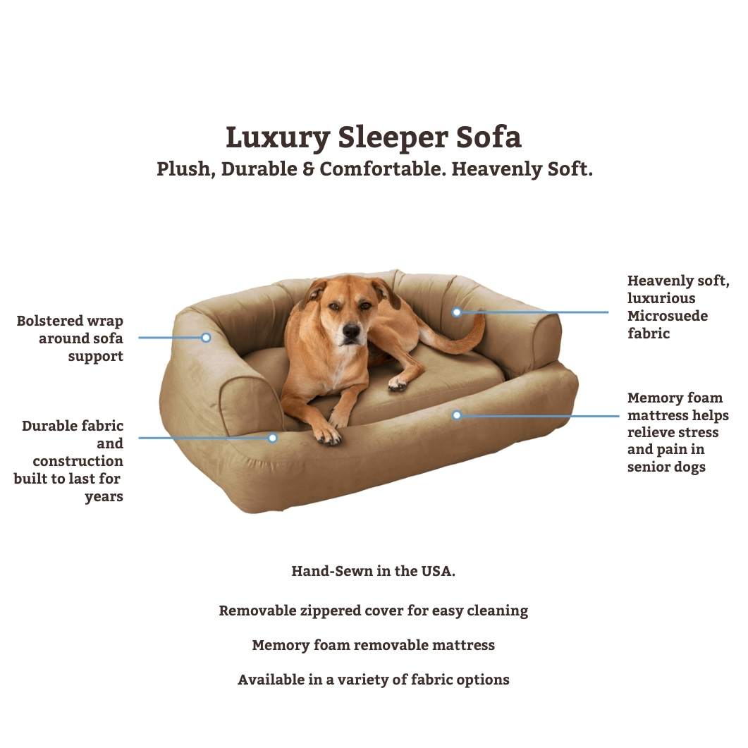 https://snoozerpetproducts.com/wp-content/uploads/2016/11/Luxury-Sleeper-Sofa-1.jpg