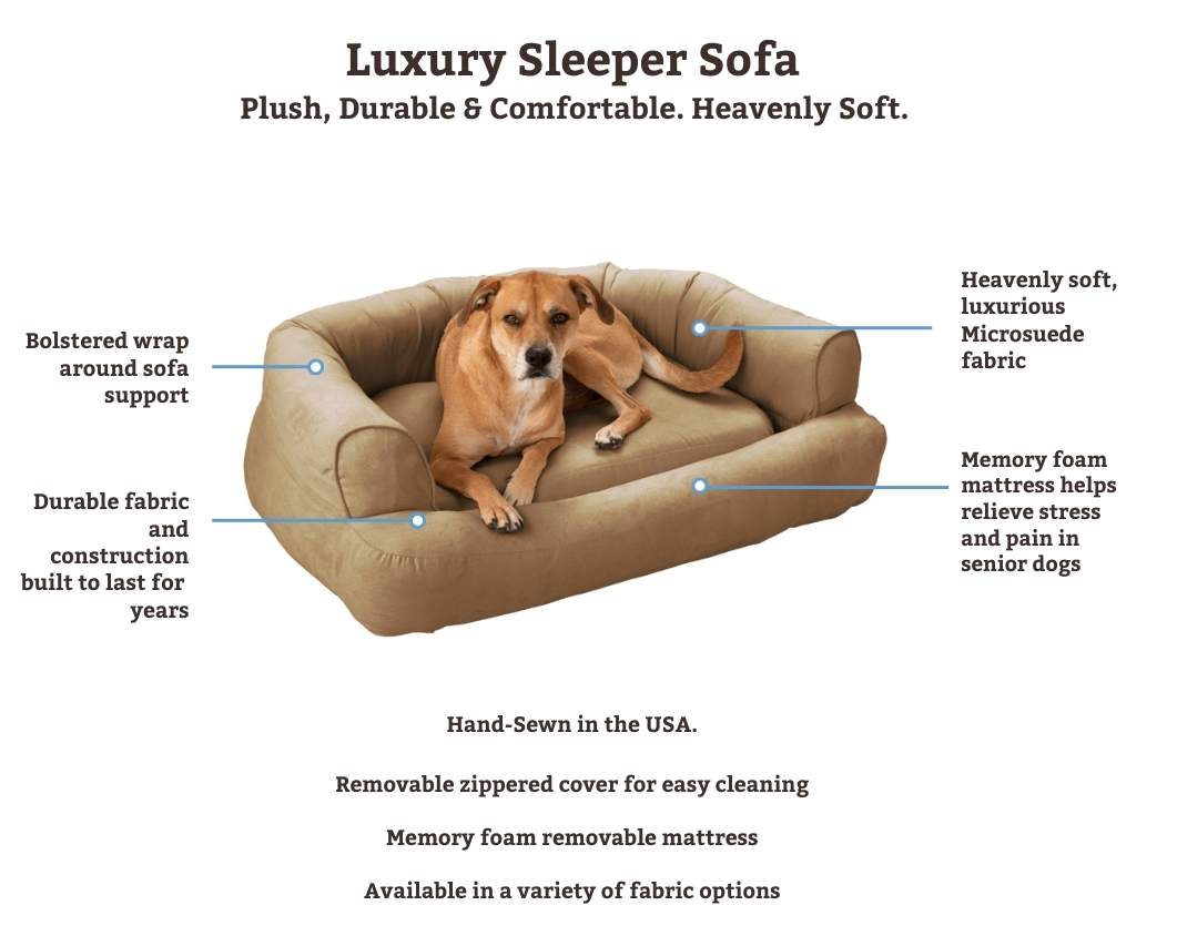 Snoozer Luxury Sleeper Sofa With