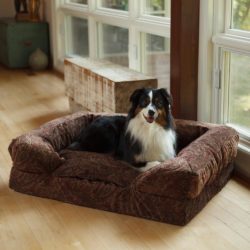 Replacement Cover- Forgiveness™ Sofa - Show Dog Collection