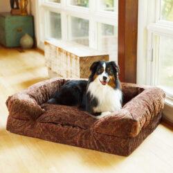 Show-Dog-Forgiveness-Sofa-Replacement-Cover-Snoozer-Pet-Products
