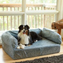 Luxury Dog Sofa with Memory Foam - Show Dog Collection
