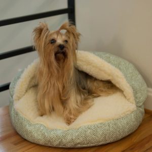 Luxury Orthopedic Cozy Cave™ Dog Bed - Show Dog Collection